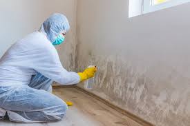 Best Mold Odor Removal Services  in Effort, PA